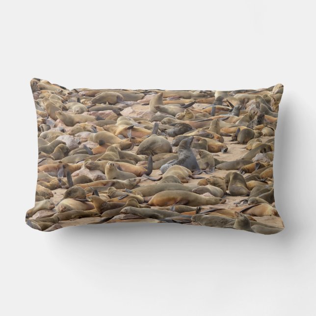 Kapstaden Kor Seal Reserve Lumbarkudde (Framsida)