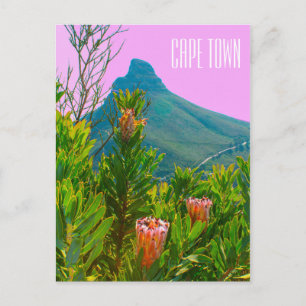 Kapstaden South Afrika Protea Lejon's Head Vykort