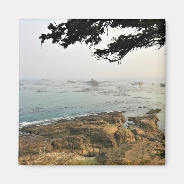 Kapstatens park, Oregon Kusten Magnet (Framsidan)