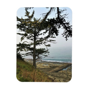 Kapstatens park, Oregon Kusten Magnet