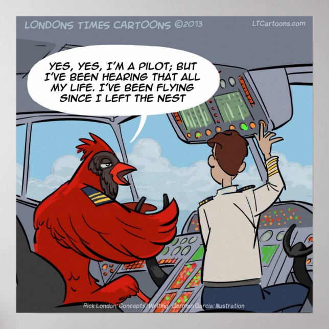 Kapten Byrd Cardinal Pilot Flies Jet Funny Poster (Framsidan)