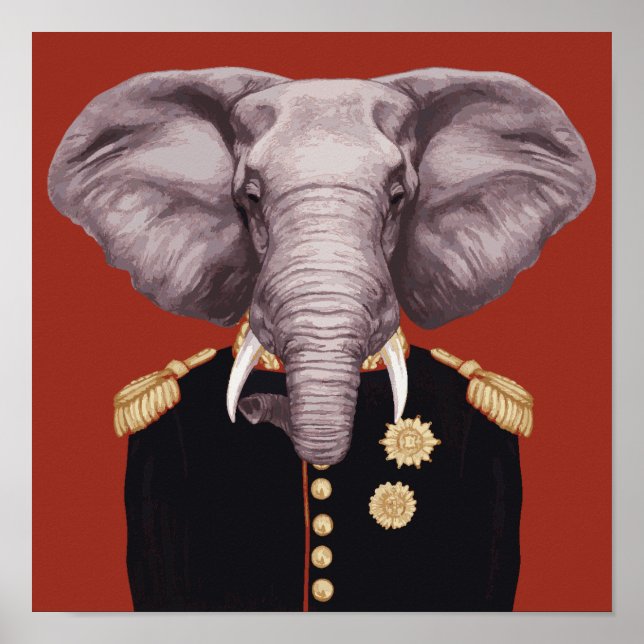 Kapten Elephant Poster (Framsidan)