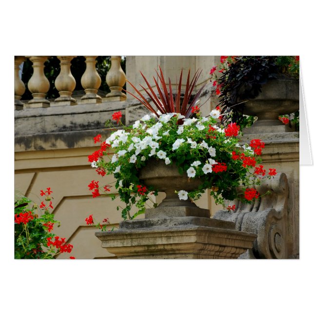 Kapten Square Flowers Hälsningskort (Framsidan Horizontal)