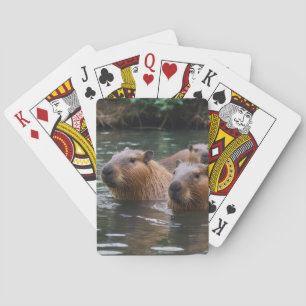Kapybadoras simmar i floden, casinokort
