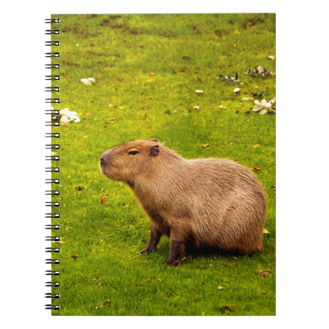 Kapybara Anteckningsbok (Framsidan)