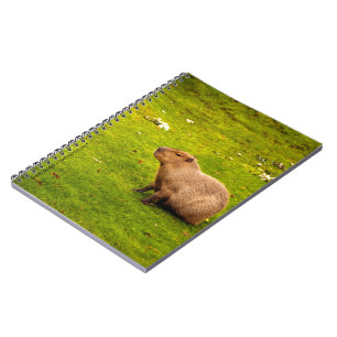 Kapybara Anteckningsbok Med Spiral