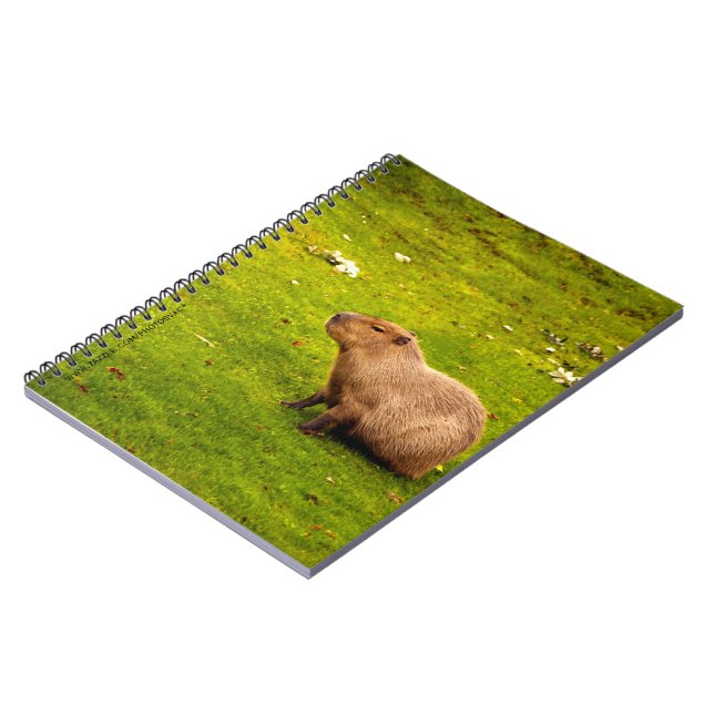 Kapybara Anteckningsbok Med Spiral (Vänstra Sidan)