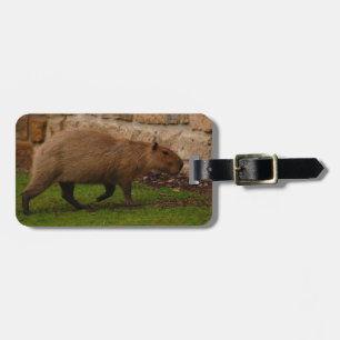 kapybara bagagebricka