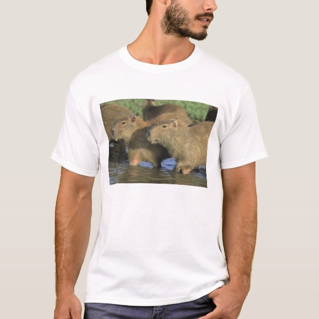 Kapybara, Hydrochaeris hydrochaeris), världens T-shirt (Framsida)