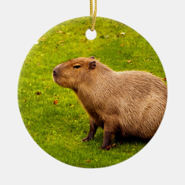 Kapybara Julgransprydnad Keramik (Framsidan)