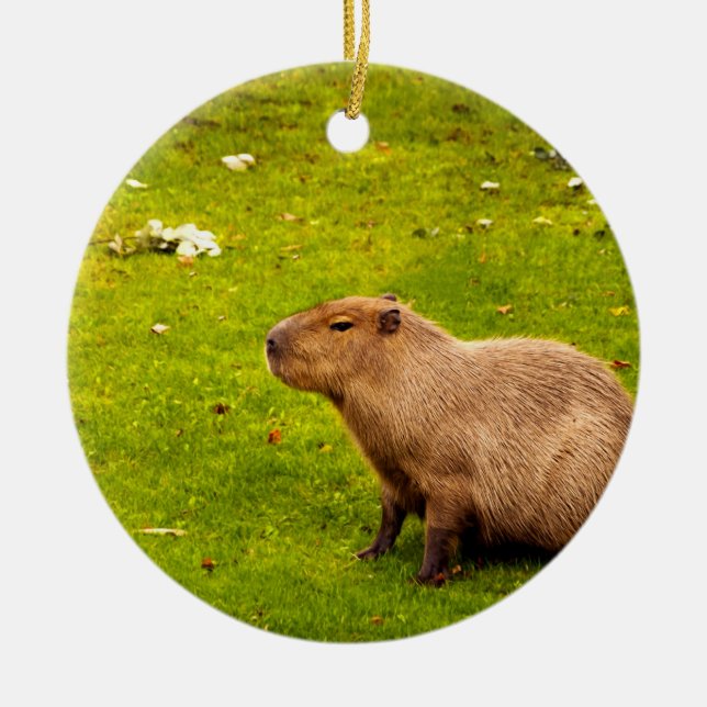 Kapybara Julgransprydnad Keramik (Framsidan)
