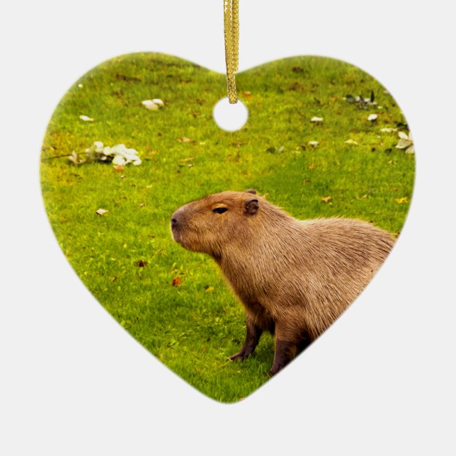 Kapybara Julgransprydnad Keramik (Framsidan)