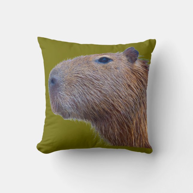 Kapybara Kudde (Framsida)