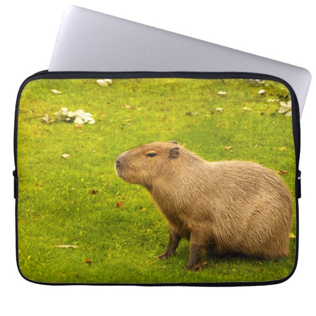 Kapybara Laptop Sleeve (Framsidan)