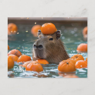 Kapybara med Flytande Orangar Vykort