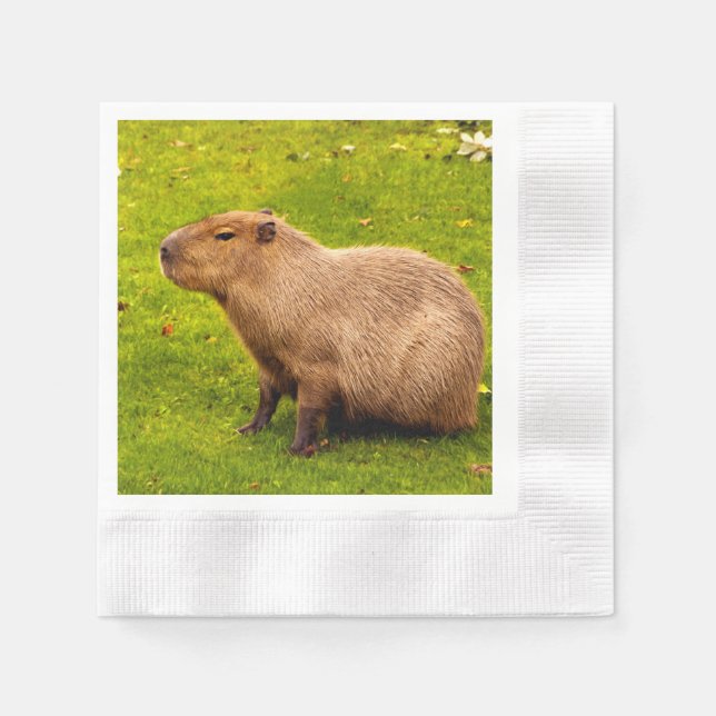 Kapybara Pappersservett (Framsidan)
