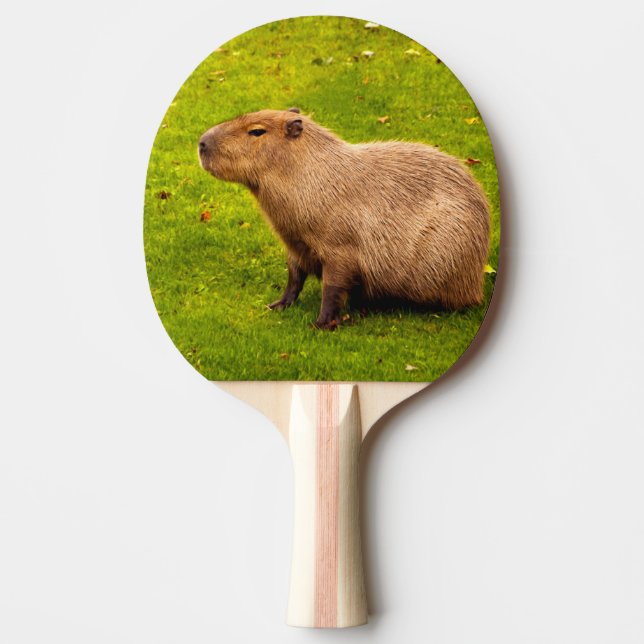 Kapybara Pingisracket (Framsidan)