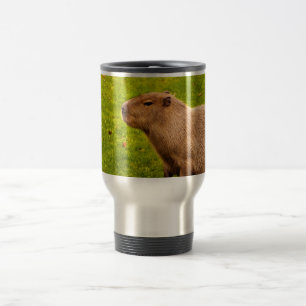 Kapybara Resemugg