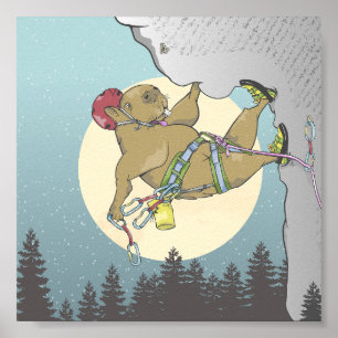 Kapybara sten klättring poster