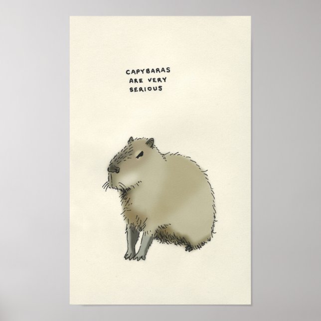 kapybara trivia poster (Framsidan)