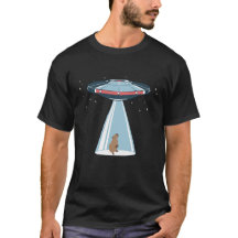 kapybara ufo