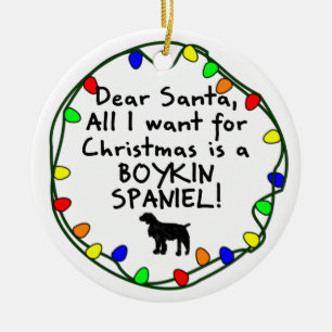 Kär Santa Boykin Spaniel Julgransprydnad Keramik