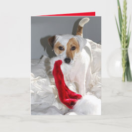 Kära fru Tomte JRT julkort Helgkort