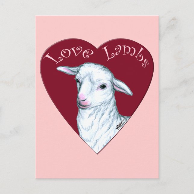 Kära lamm vykort (Framsida)