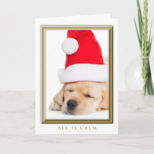 Kära Santa All är Lugn Puppy Helgkort