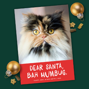 Kära Santa Bah Humbug Funny Pet Photo Julkort