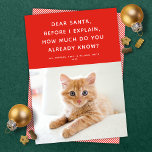 Kära Santa Cute Funny Pet Helgdag Photo Card Julkort<br><div class="desc">Det här söta, roliga fotokortet i helgdag har en fin röd bakgrund, en vit typ och ett enda foto. Hälsning lyder: "Kära tomten, innan jag förklarar, hur mycket vet du redan?" Den här designen skulle vara en perfekt för ett sällskapsdjur, men fungerar också underbart för eländiga barn och vuxnor! Baksidan...</div>