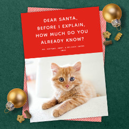 Kära Santa Cute Funny Pet Helgdag Photo Card Julkort