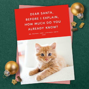 Kära Santa Cute Funny Pet Helgdag Photo Card Julkort