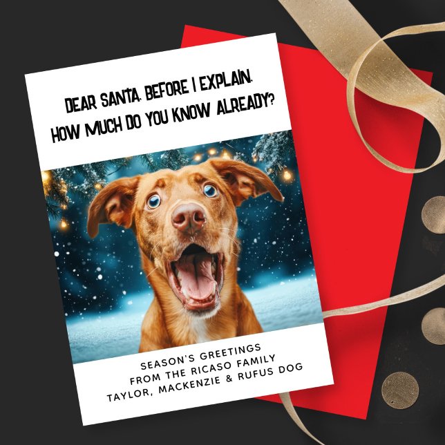 Kära Santa, hur mycket vet du redan? Jul Julkort (Dear Santa How Much Do You Know Already? Christmas Holiday Card by Ricaso. Personalized with photo
)