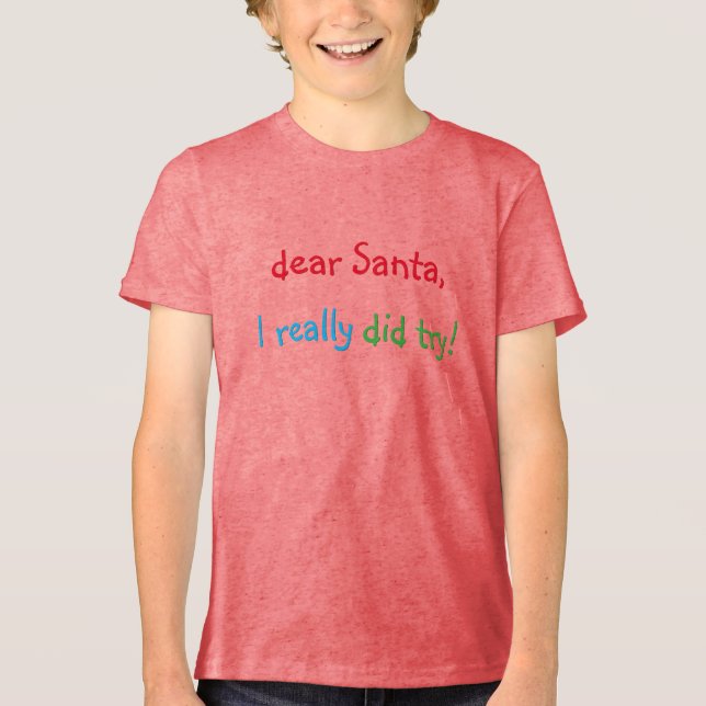 Kära Santa I Verkligen försökte med en fin jultröj T Shirt (Framsida)