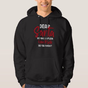 Kära Santa Innan jag förklarar hur mycket vet du 2 Hoodie