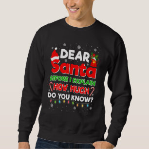 Kära Santa Innan jag förklarar hur mycket vet du C Lång Ärmad Tröja