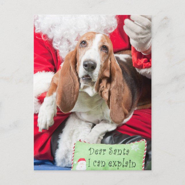 Kära Santa kan jag förklara Bassethund Helg Vykort (Framsida)