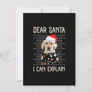 Kära Santa Labrador, jag kan förklara julens Hund Inbjudningar