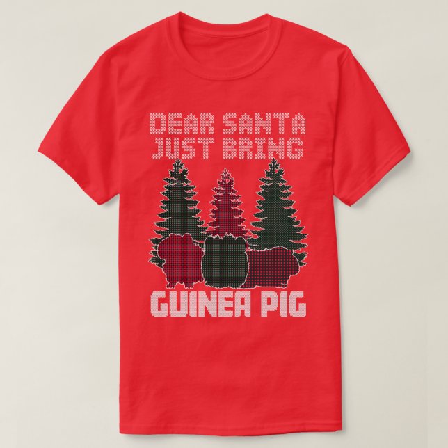 Kära Santa precis ta med Guinea Gris T Shirt (Design framsida)