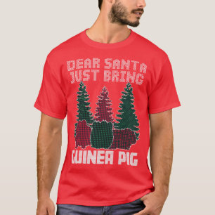 Kära Santa precis ta med Guinea Gris T Shirt