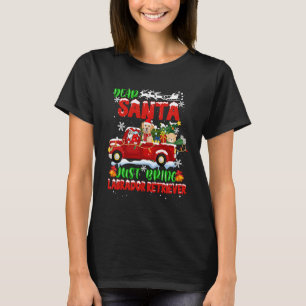 Kära Santa precis ta med Labrador Retriever Hund C T Shirt