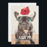 Kära Santa Vi kan förklara Helgdagar Fotokort Julkort<br><div class="desc">Lustigt julfotokort med ditt favoritfoto. Det står "Kära Santa, jag kan förklara..". Du kan ändra texten om du föredrar att säga "vi kan förklara". Anpassa den med ditt namn, namn eller namn i familjen på baksidan. Du kan anpassa färg i bakgrunden. Illustrerad med trendig snurrar, ramar och manus typsnitt. Perfektens...</div>