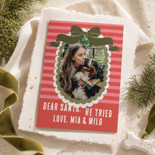 Kära Tomte Han Försökte Rolig Hund Jul Foto Julkort
