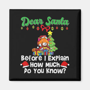 Kära tomte innan jag förklarar hur mycket vet du magnet