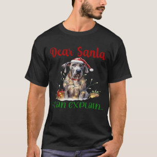 Kära tomte jag kan förklara Grand Dane Essential T Shirt