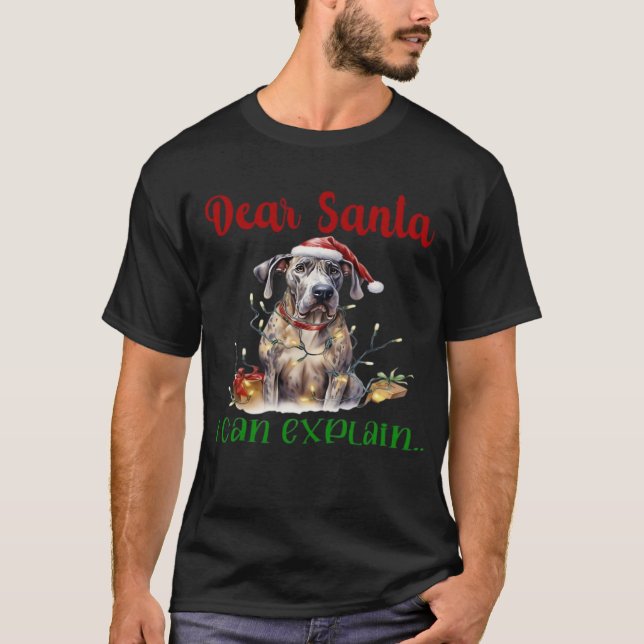 Kära tomte jag kan förklara Grand Dane Essential T Shirt (Framsida)