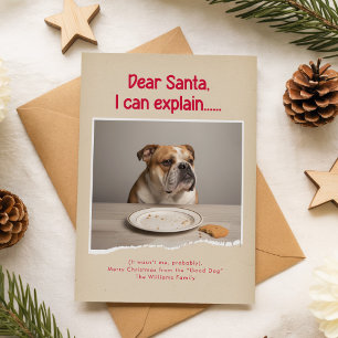 Kära Tomte Jag Kan Förklara Husdjur Hund Julfoto Vykort