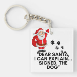 Kära Tomte Jag Kan Förklara Rolig Hund Julmugg