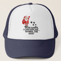 Kära tomte jag kan förklara Rolig hund julmugg
